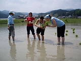 06 - お米 (May 08)